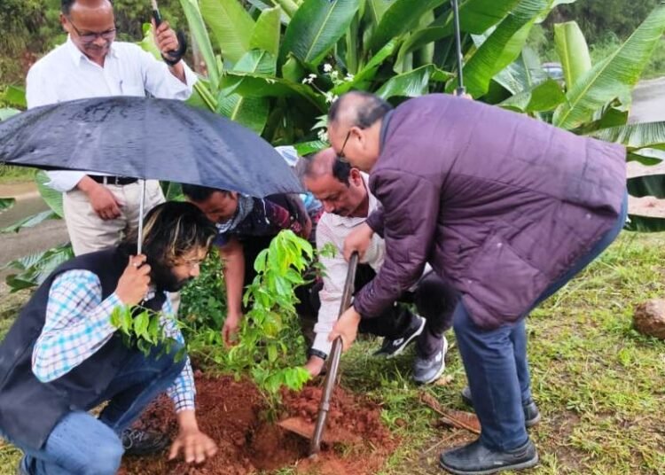 Rotary Club plants 100 plum saplings in EWKH