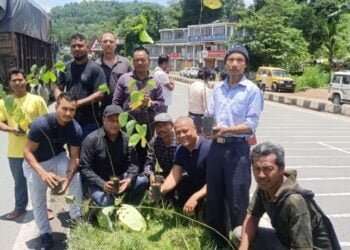 Restaurants take up sapling plantation on NH-6