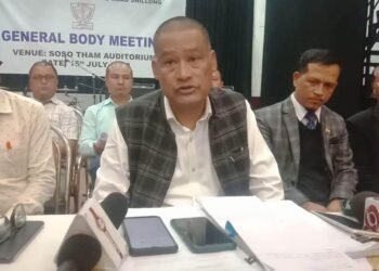 Inquiry needed to probe MeECL generation shortfall