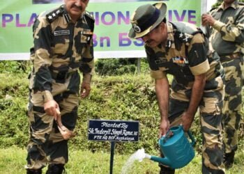 BSF holds plantation drive in SWKH border areas