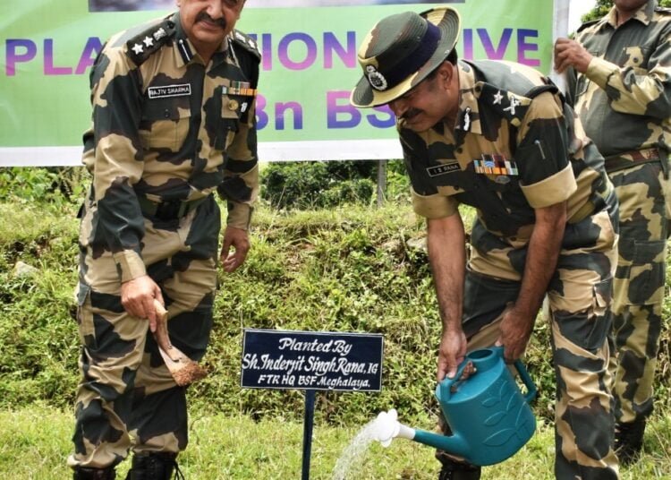BSF holds plantation drive in SWKH border areas
