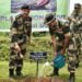 BSF holds plantation drive in SWKH border areas