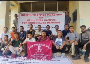 GSU wants full-fledged Pro-VC