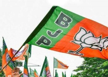 BJP gets grassroots boost as 100s join
