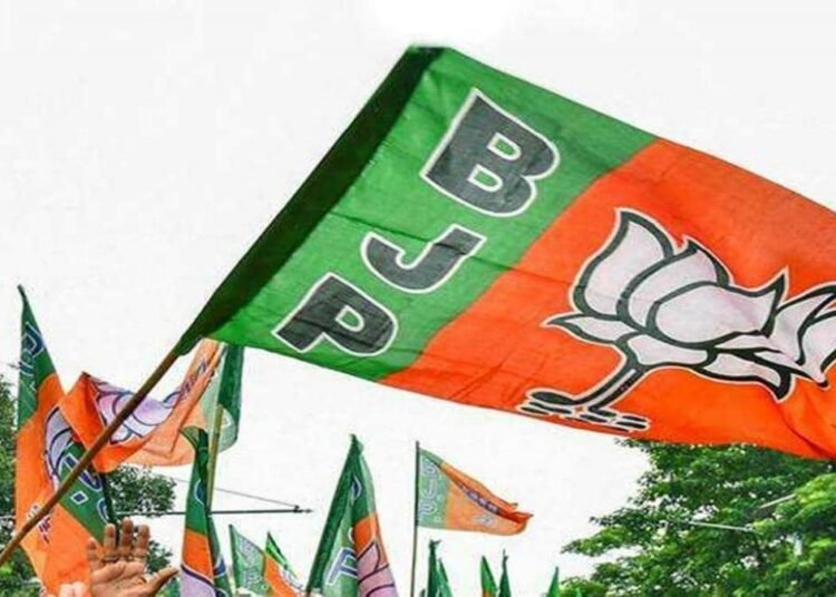 BJP gets grassroots boost as 100s join