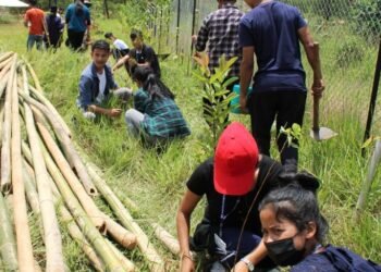 MLCU holds tree plantation drive
