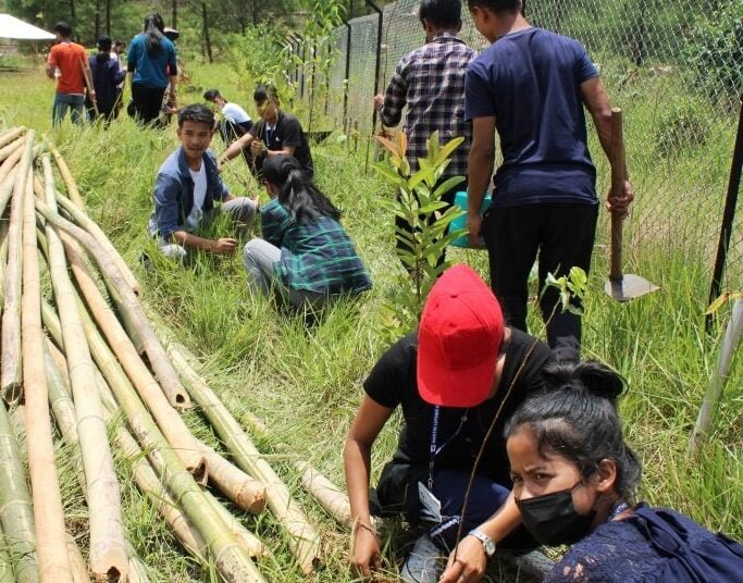 MLCU holds tree plantation drive