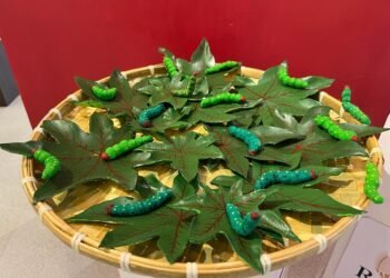 Centre for weavers inaugurated to celebrate National Handloom Day