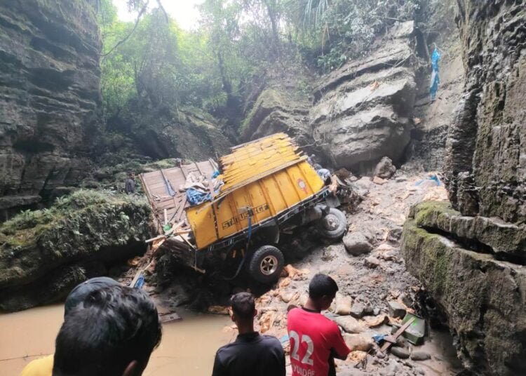Truck driver dies after vehicle plunges into deep gorge