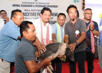 Pig breeding farm inaugurated in Samanda