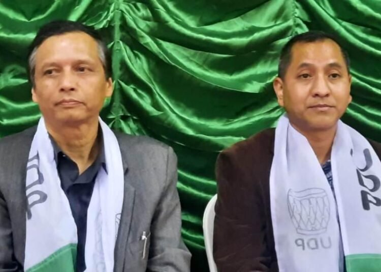 Election 2023: Ex-FKJGP Prez ready to run on UDP ticket