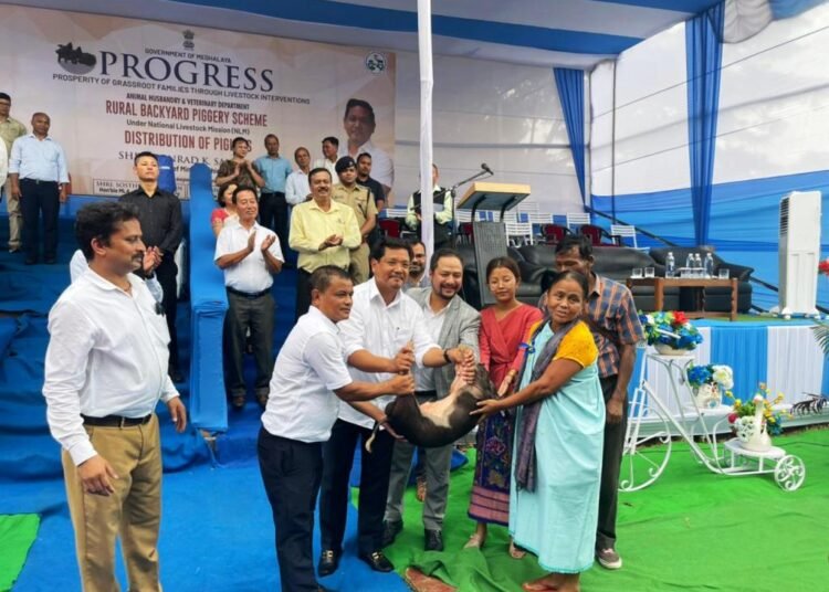 ‘Progress’ to ensure sustainable livelihood to farmers: Conrad