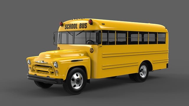 Govt in process of launching school bus system in city