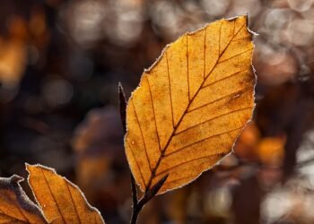 Tourism Dept plans for packed autumn calendar