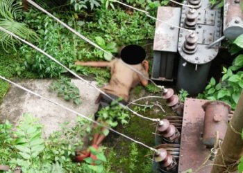 Man electrocuted by transformer on PHE campus