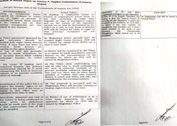 Cheristerfield killing:  Probe finds excessive force used by police