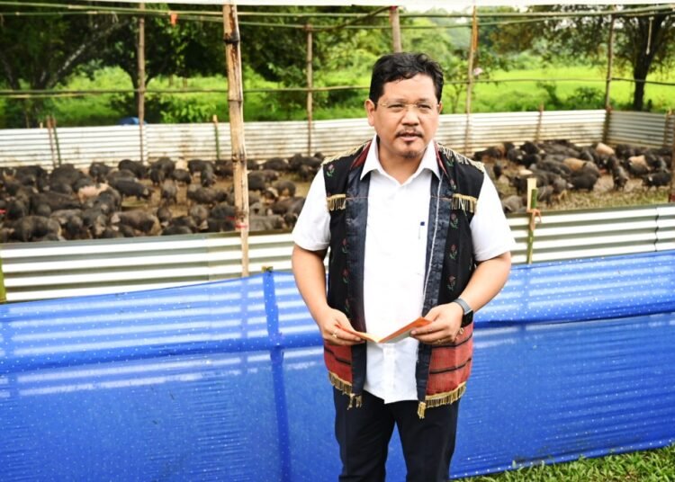 Raksamgre farmers showered with piglets