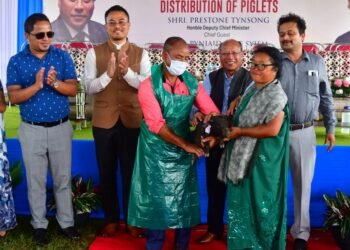 Deputy CM distributes piglets at Tynring