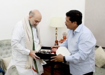 Amit Shah happy with border resolution progress