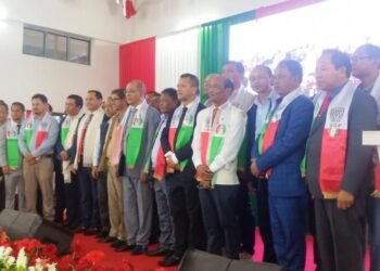 Metbah predicts 30 seats for UDP next election