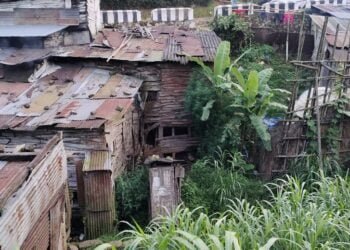 Maxwellton Estate in Kench’s Trace overrun with illegal