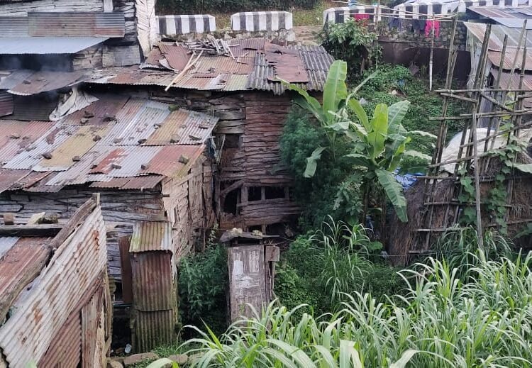 Maxwellton Estate in Kench’s Trace overrun with illegal