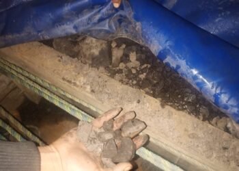 HITO detects three ‘illegal’ coal trucks