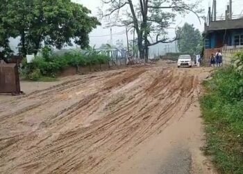 HITO irked by rampant earth cutting in Byrnihat