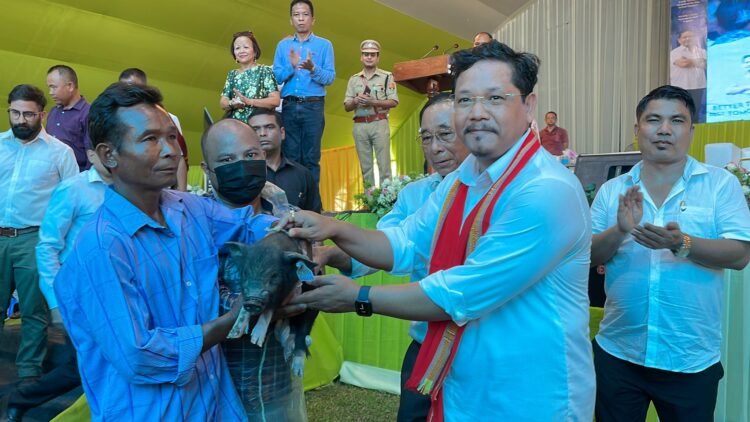 North Garo Hills farmers, youth receive funds, piglets