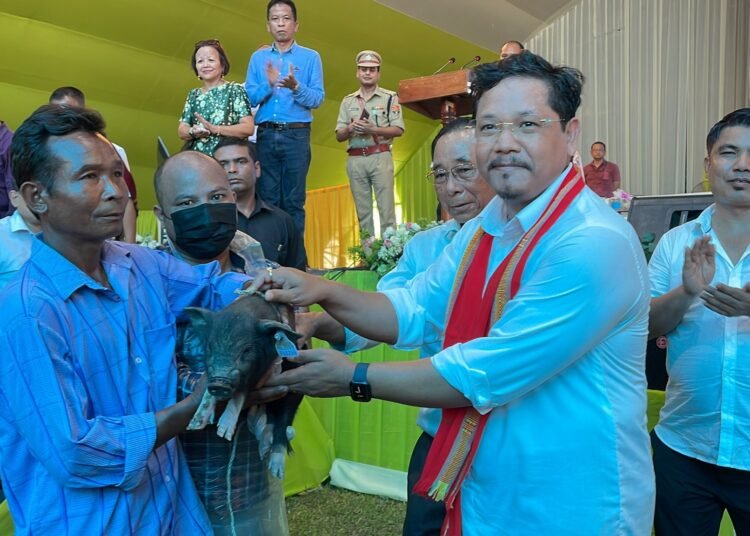 North Garo Hills farmers, youth receive funds, piglets
