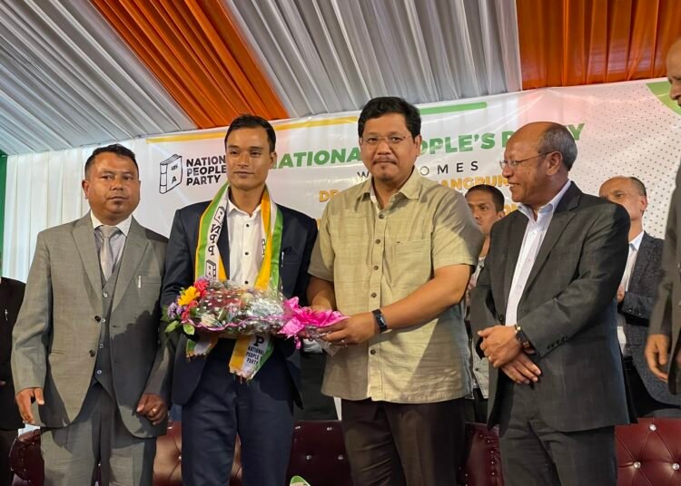 District council members join NPP