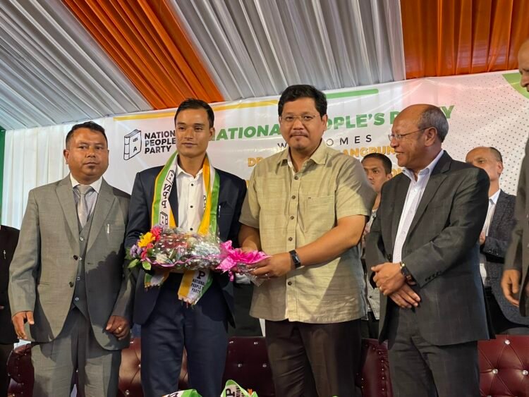 District council members join NPP