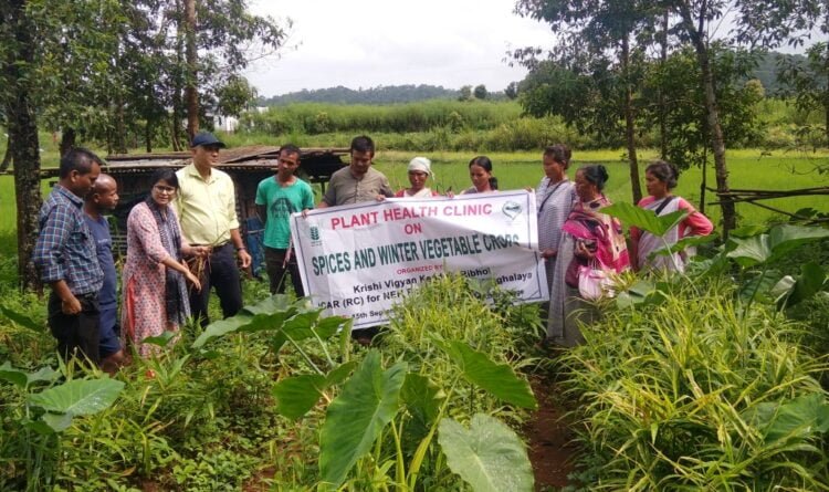 Ri-Bhoi farmers attend plant health clinic