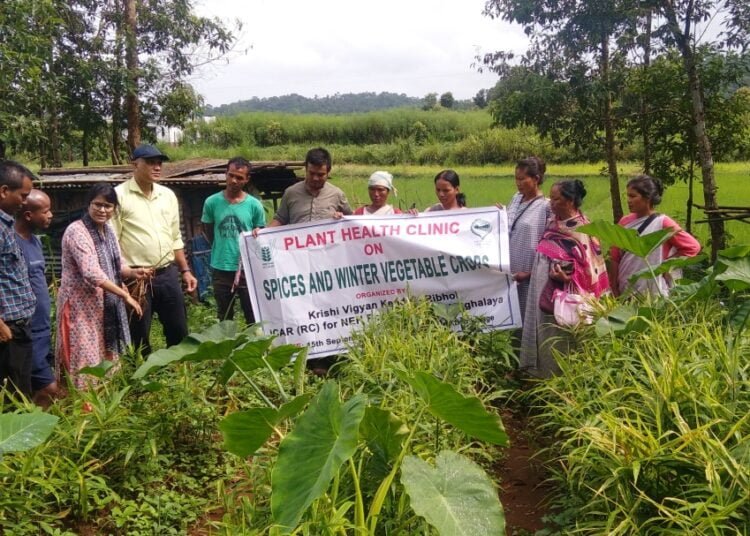 Ri-Bhoi farmers attend plant health clinic