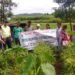Ri-Bhoi farmers attend plant health clinic