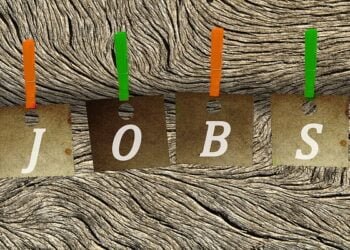 Where has Rs 148 crore of salary for vacant posts gone?