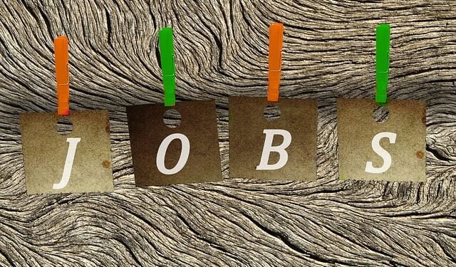 Where has Rs 148 crore of salary for vacant posts gone?