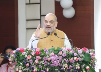 Amit Shah leads North Eastern Council plenary session