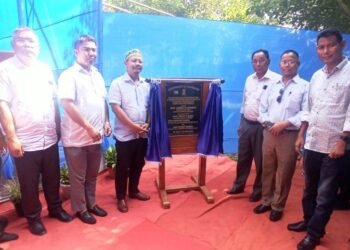 Govt to involve agency to address medicine shortages: James