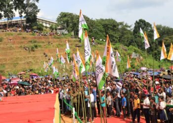 Did NPP conflate party meeting with Govt event?