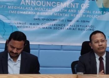 Draft mental health & social care policy released for public comment