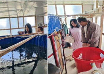 Fish farm that recycles water inaugurated