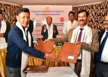 Govt hands over two power projects to NEEPCO