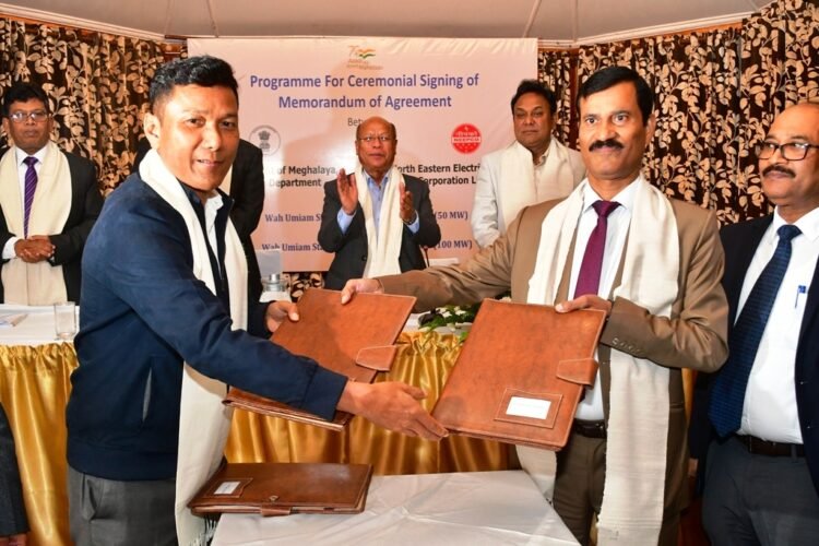 Govt hands over two power projects to NEEPCO