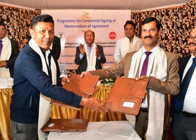 Govt hands over two power projects to NEEPCO