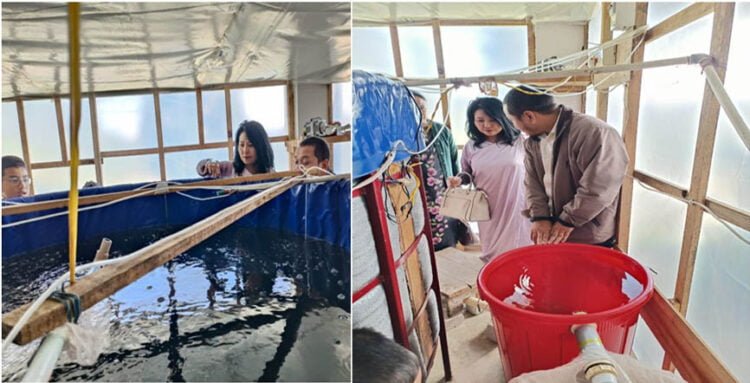 Fish farm that recycles water inaugurated