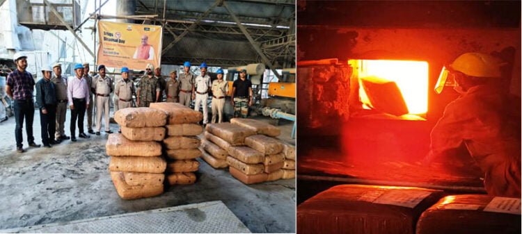 1477.76 kgs marijuana destroyed in Lumshnong kiln