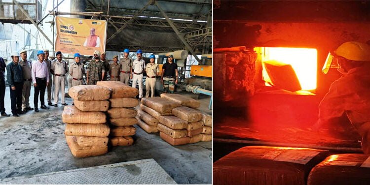 1477.76 kgs marijuana destroyed in Lumshnong kiln