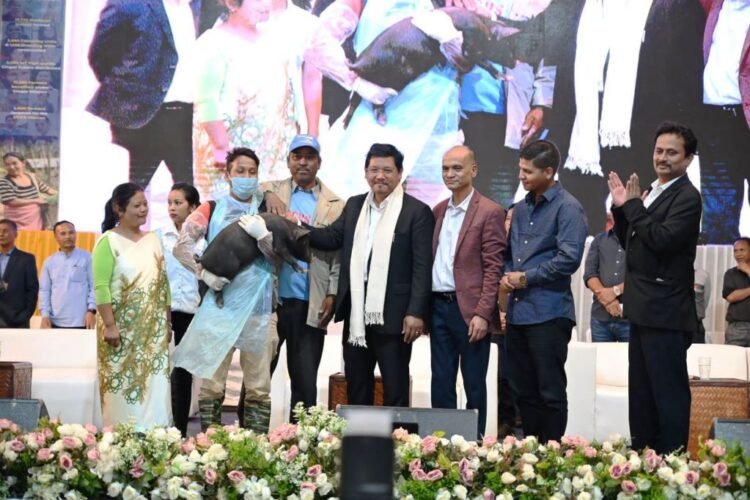 Govt schemes put Rs 500 crore into farmers’ pockets every year: CM