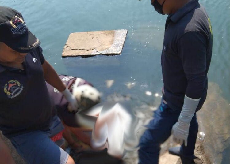 Body of taxi driver recovered from Umiam Lake